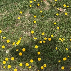 Meet your Posher, Esther